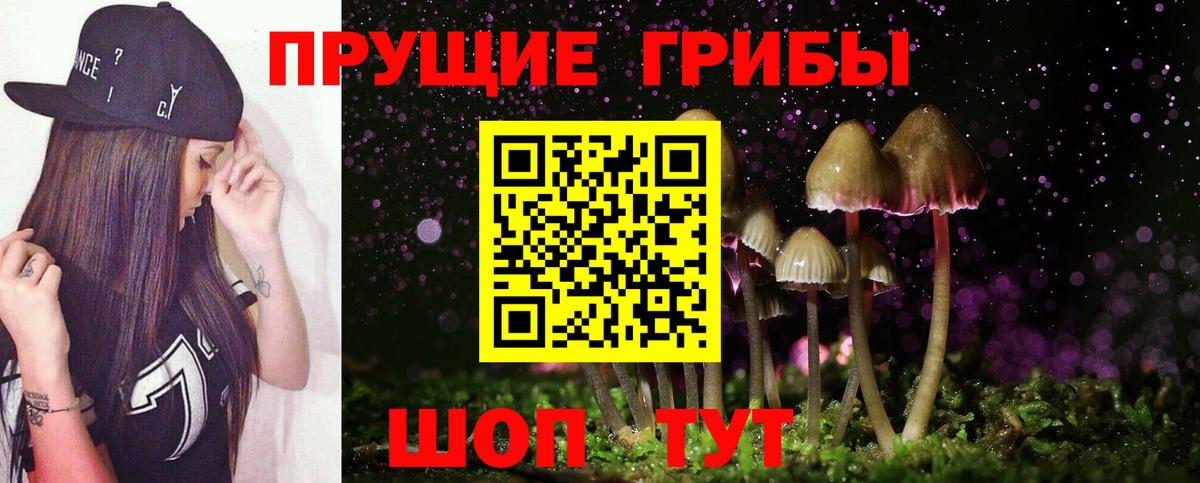 Грозный  Псилоцибиновые грибы MAGIC MUSHROOMS  Вход с VPN  Псилоцибиновые грибы GOLDEN TEACHER 