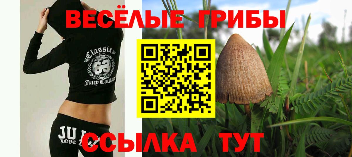 Псилоцибиновые грибы Cubensis Грозный